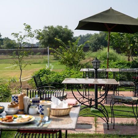 Hotel Tree Of Life Ecotainers Agra à Agra  Extérieur photo