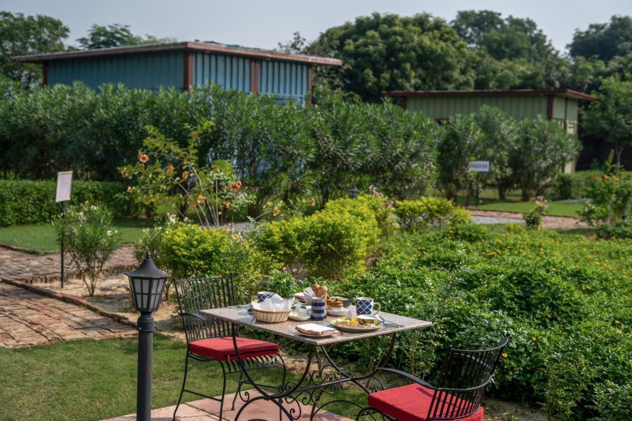 Hotel Tree Of Life Ecotainers Agra à Agra  Extérieur photo
