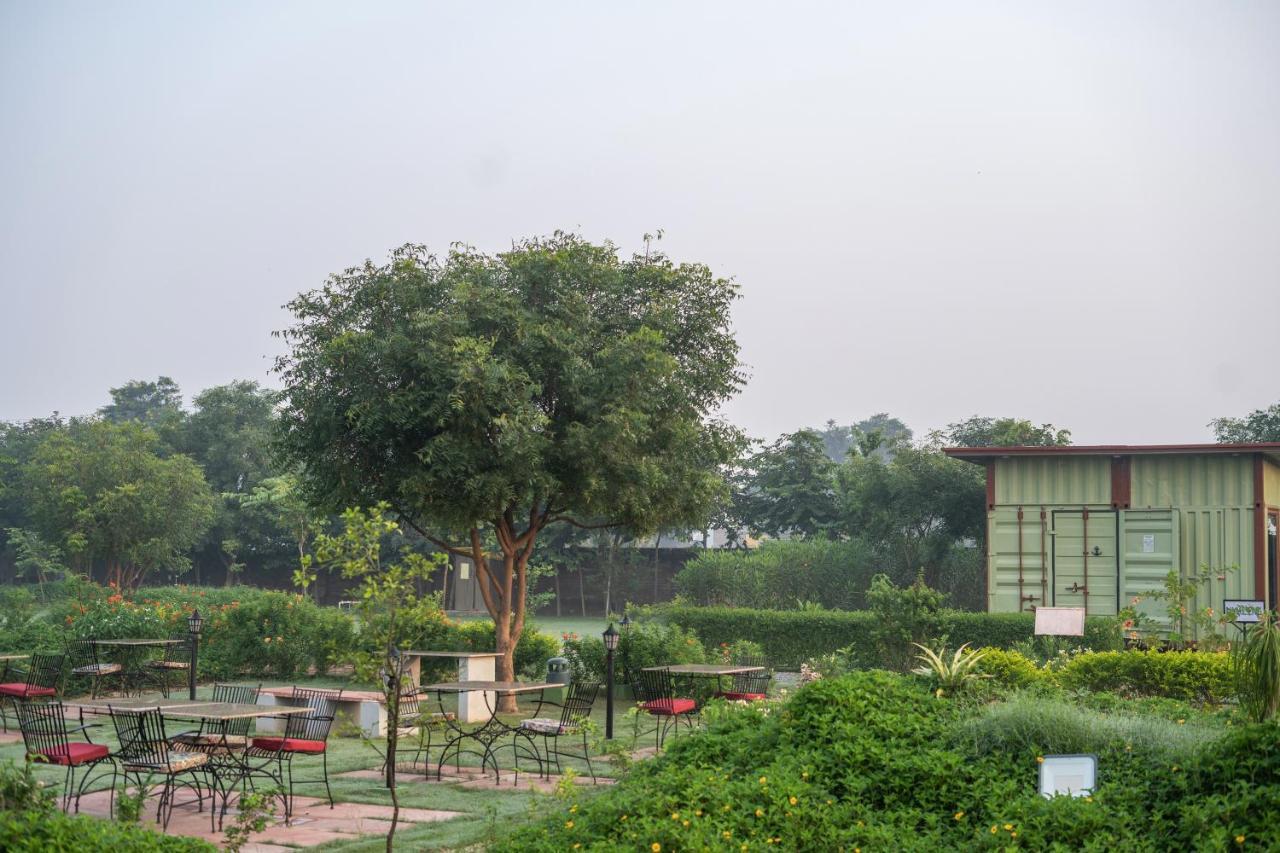 Hotel Tree Of Life Ecotainers Agra à Agra  Extérieur photo