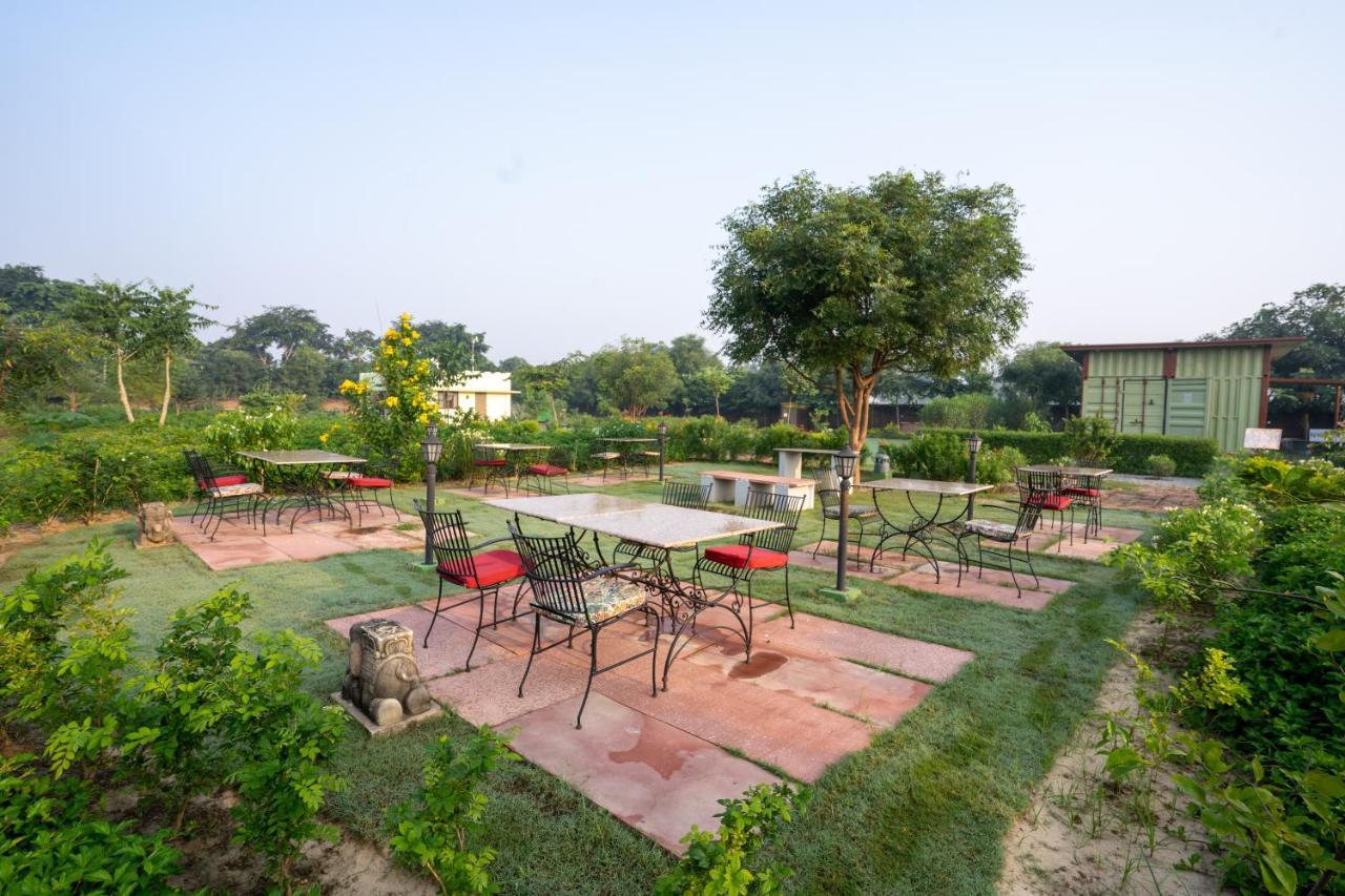 Hotel Tree Of Life Ecotainers Agra à Agra  Extérieur photo
