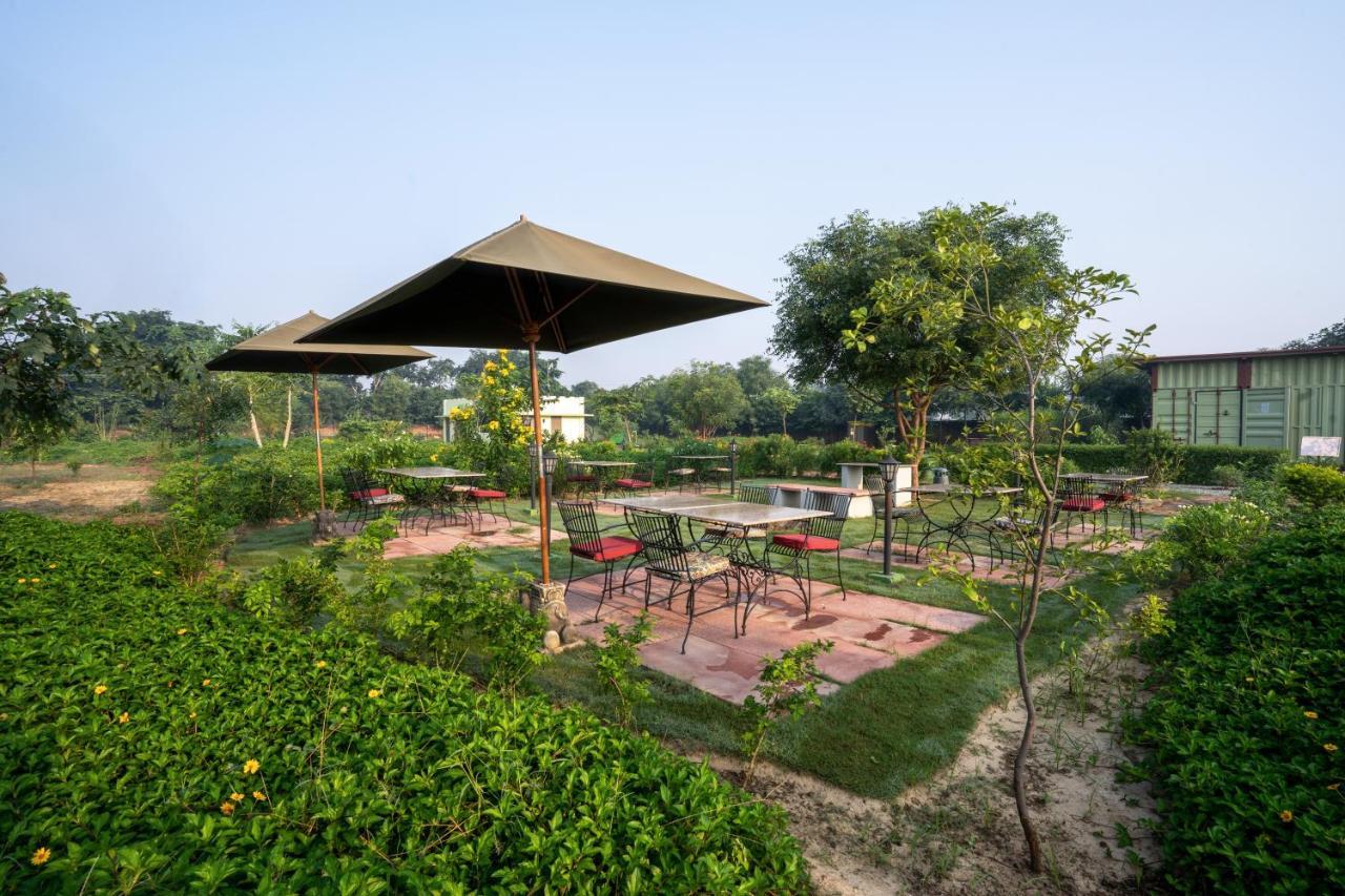 Hotel Tree Of Life Ecotainers Agra à Agra  Extérieur photo